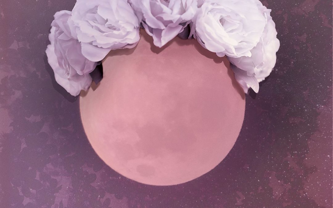 30.4. Fullmoonparty